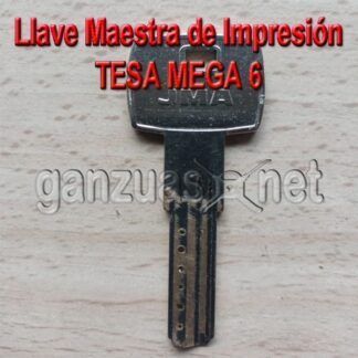 Llave Maestra de Impresión Tesa Mega 6