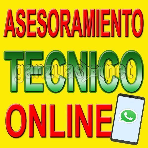 Asesoramiento Tecnico Online en Directo